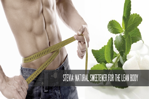  Information about using stevia with diabetes safe for sugar alternative for diabetics stevia better healthy living